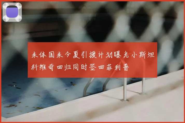 米体国米今夏引援计划曝光小斯坦科维奇回归同时签回菲利普