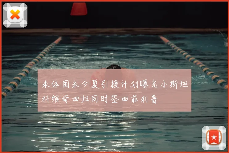 米体国米今夏引援计划曝光小斯坦科维奇回归同时签回菲利普